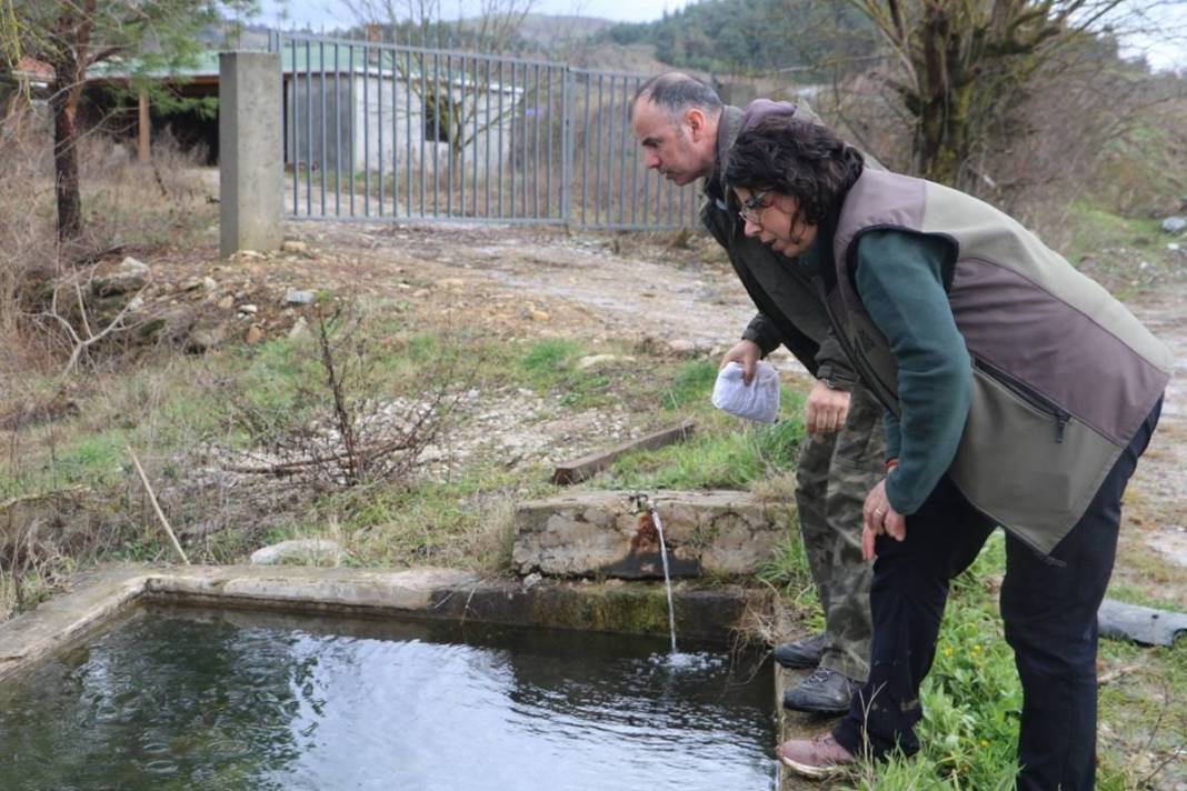 Yol kenarında tesadüfen bulundu: Zoologlar apar topar bu ilimize gitti! Meğer eskiden Kuzey Anadolu'da yaygınmış 3